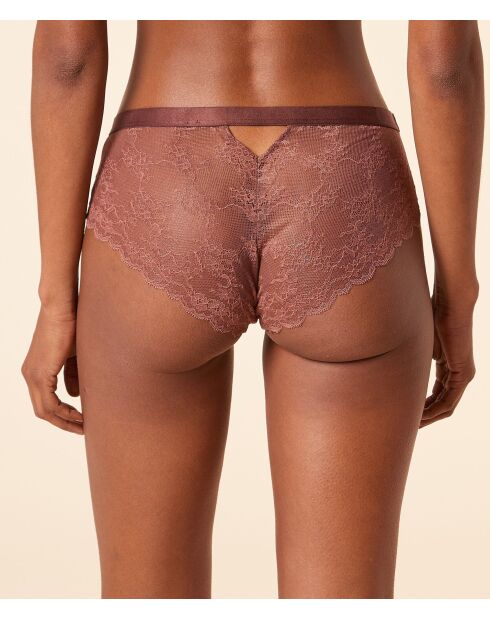 Chocolate Shorty Ditsy