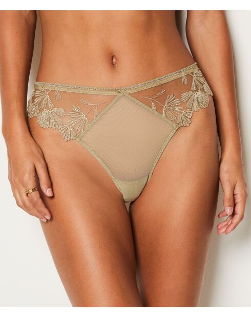 Tanga kaki con palma d'oliva