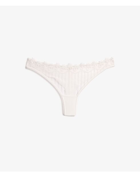 Tanga White Daisy