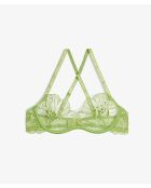 Reggiseno Conquise anis con ferretto