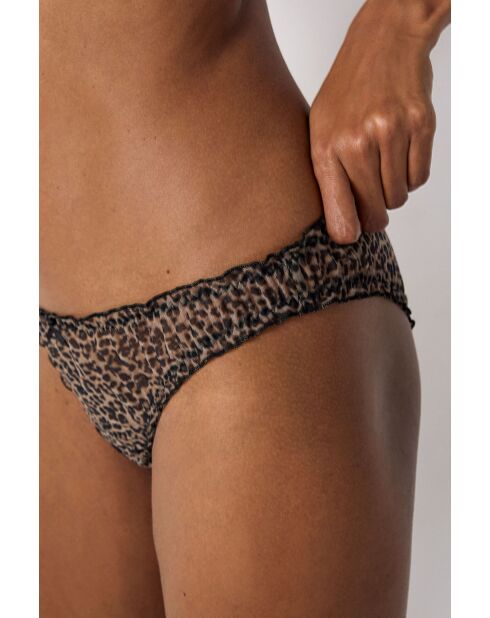 Mutandine marroni Bliss W25