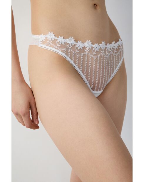 Tanga White Daisy