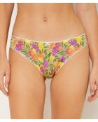 Pack de 4 braguitas Jackie Green multicolores