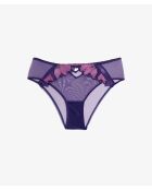 Shorty Exaltee Blaubeere