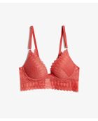 Sujetador push-up con terracota grabada con aros