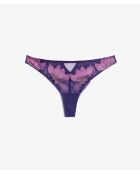 Perizoma Exaltee blueberry