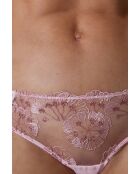 Shorty Flowers rose poudre