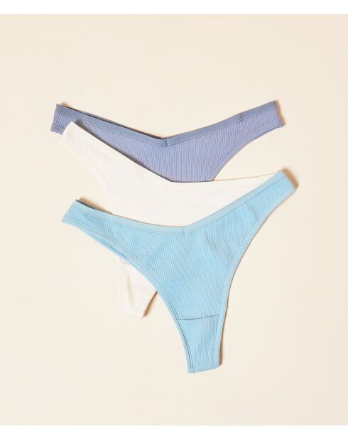 Set van 3 veelkleurige John tanga's