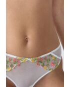 Shorty Gourmandise corail