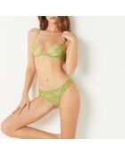 Tanga Conquise anijs