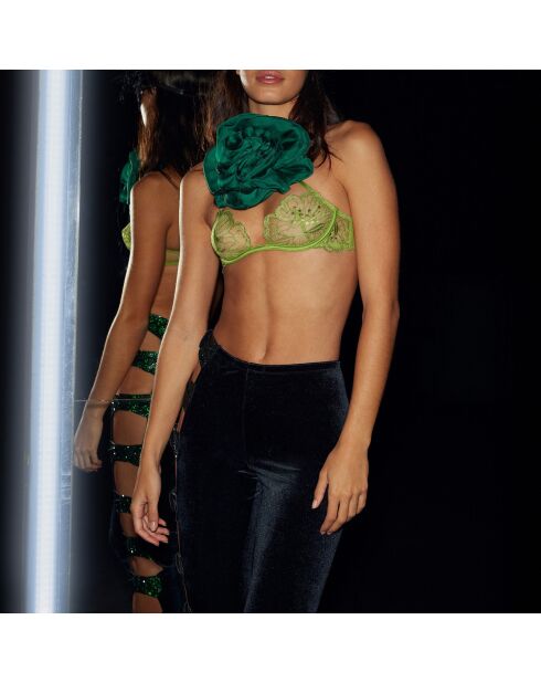 Sujetador de anís Conquise con aros