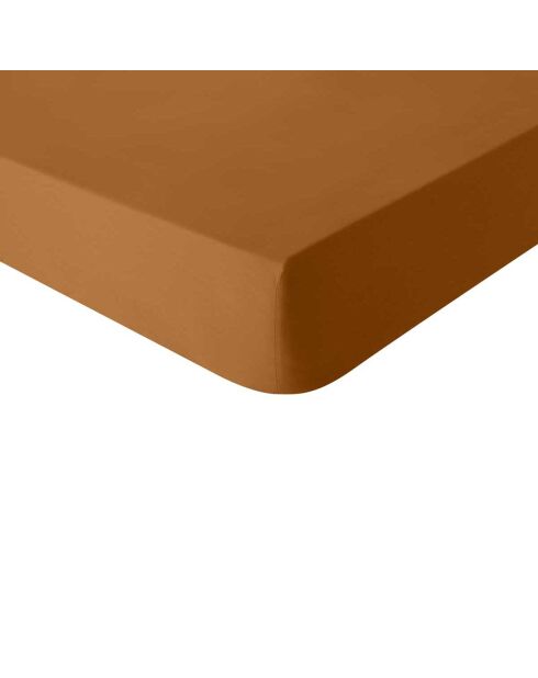 Tout Doux - Amberkleurig hoeslaken van effen katoen