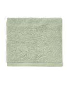 Aqua - Serviette invitée unie en coton vert sauge - 30x50 cm