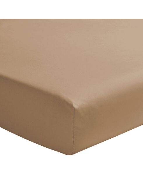 Royal Line - Drap housse uni en percale de coton, bonnet de 40cm beige dune