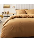 Tout Doux - Drap plat uni en coton ambre
