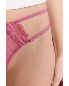 Cardinale Tanga Petra