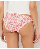 Bragas multicolores Jena S24