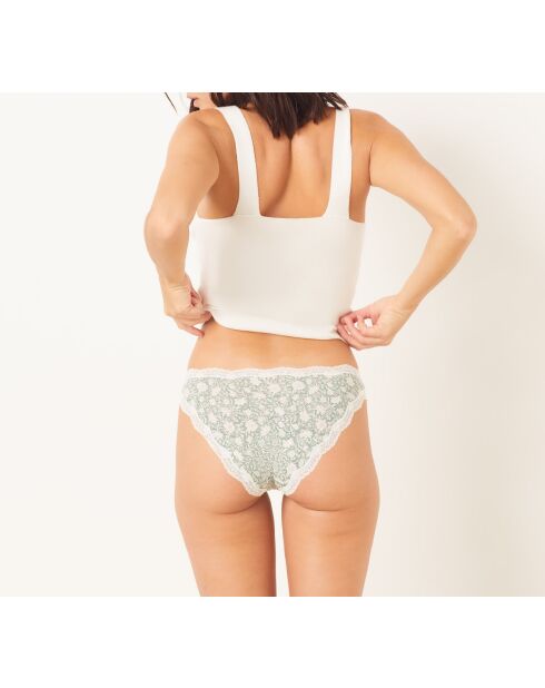 Pack de 3 calzoncillos Lolla Vert De Gris caqui oliva