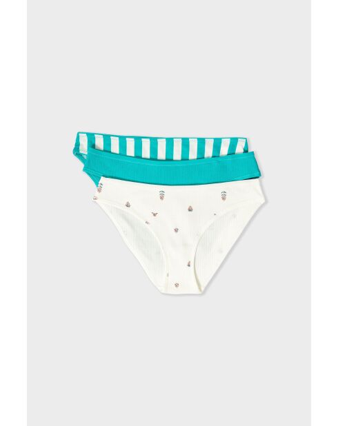 Set de 3 braguitas Johnnie multicolores