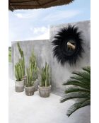 Le Miroir Sunken Forest - Noir - 90x90x22 cm