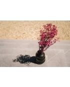 Le Vase Burned - 13x6x17 cm