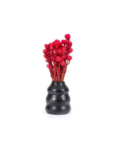 Le Vase Burned - 13x6x17 cm