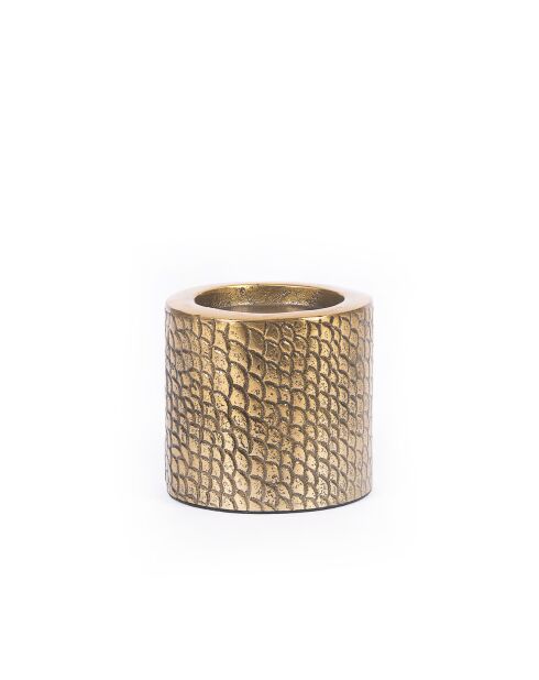 Portavelas Croco Brass M - 12x12x10 cm