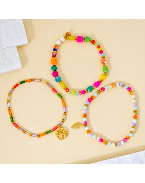 Bracelet EVAREA STEEL multicolore