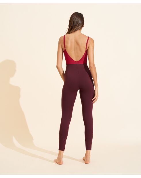 Ilona-combinatie van kers en pruimen