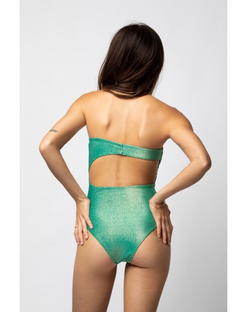 Maillot de bain une pièce Adi terre de sienne