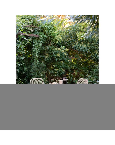 4 Esszimmerstühle Branson, stapelbar, Polypropylen, sandfarben, 55x465x82 cm