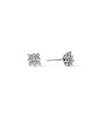 Boucles d'oreilles Fleurs Lumineuse D 0,30/18 or blanc
