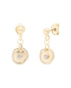 Geelvergulde zilveren en vergulde oz-oorbellen