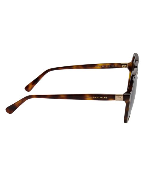 Geometrische Sonnenbrille Havana