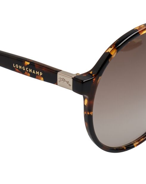 Lunettes de soleil rondes rétro dark havana