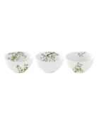 Lot de 3 bols en porcelaine NATURA blanc/vert - D.9,5 cm