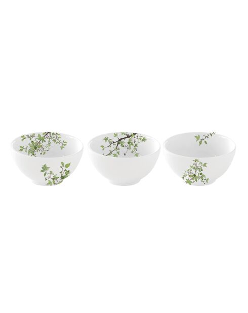 Lot de 3 bols en porcelaine NATURA blanc/vert - D.9,5 cm