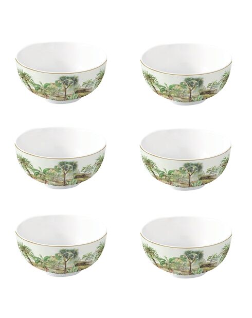 Lot de 6 bols en porcelaine CEYLON verts - D.12 cm