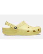 Sabots classic Daylily jaunes