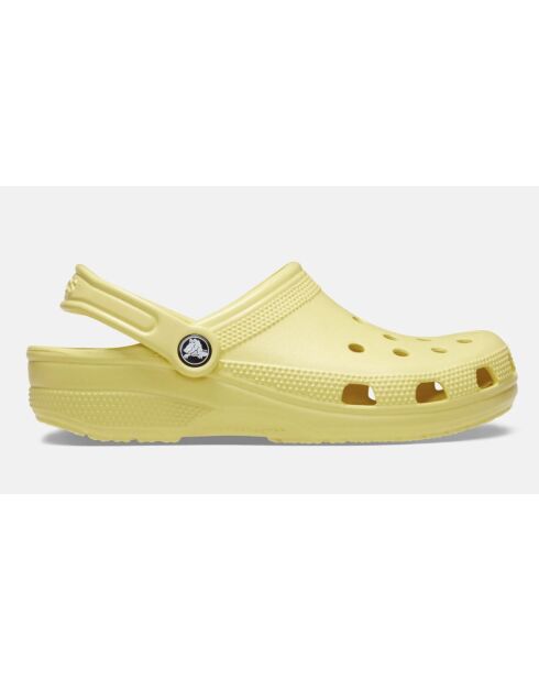 Sabots classic Daylily jaunes