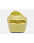 Sabots classic Daylily jaunes