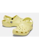 Sabots classic Daylily jaunes