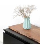 TV-Ständer 2 Türen 1 Schubladen Acacia Black II mehrfarbig - 145x45x50 cm