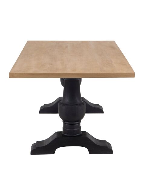 Kela rechteckiger Esstisch mehrfarbig - 220x100x76 cm