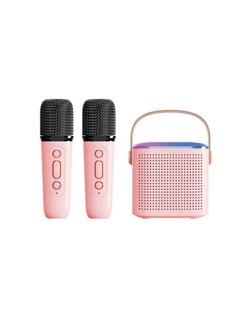 Mini Karaoké EKO Bluetooth 5.3 Modèle Taylor rose