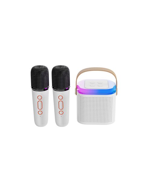 Mini Karaoké EKO Bluetooth 5.3 Modèle Taylor rose