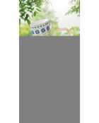 Lot de 2 tasses en porcelaine à motif FLOWERS GARDEN vert/bleu - 350 ml