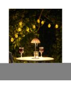 Guirlande lumineuse LED Carlisle en polyrotin/métal naturel/noir - 180x6x6 cm