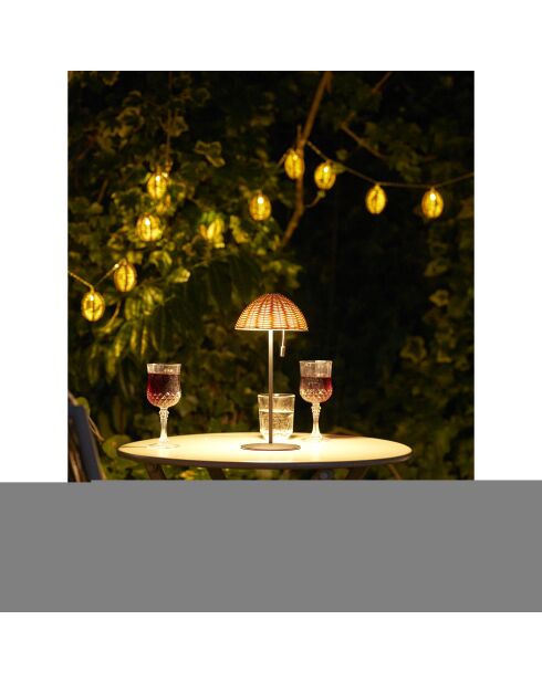 Guirlande lumineuse LED Carlisle en polyrotin/métal naturel/noir - 180x6x6 cm