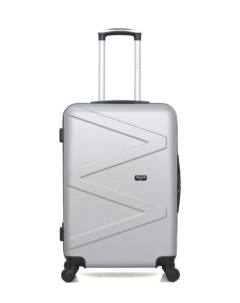 Lot Valise weekend et Vanity Amazone grises